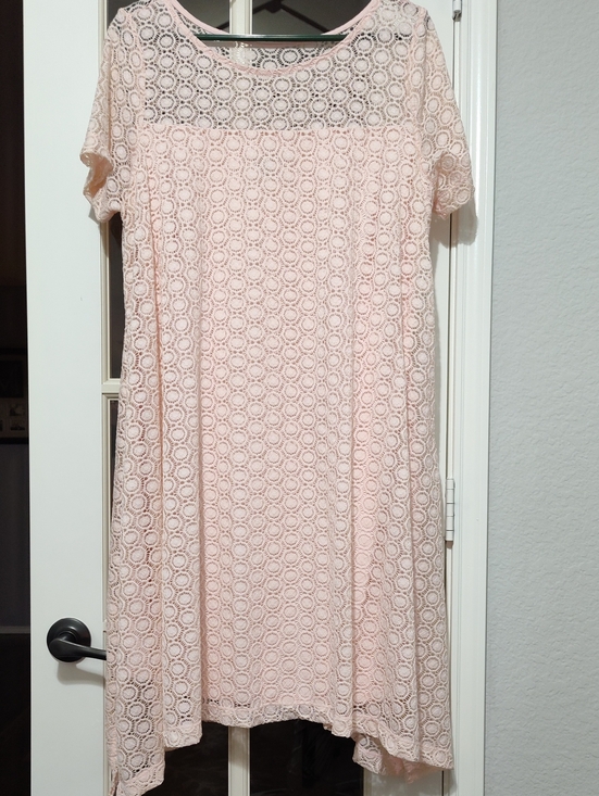 Lane Bryant Dresses & Skirts - Lane Bryant Blush Pink Lace Overlay Dress, Size 14-16